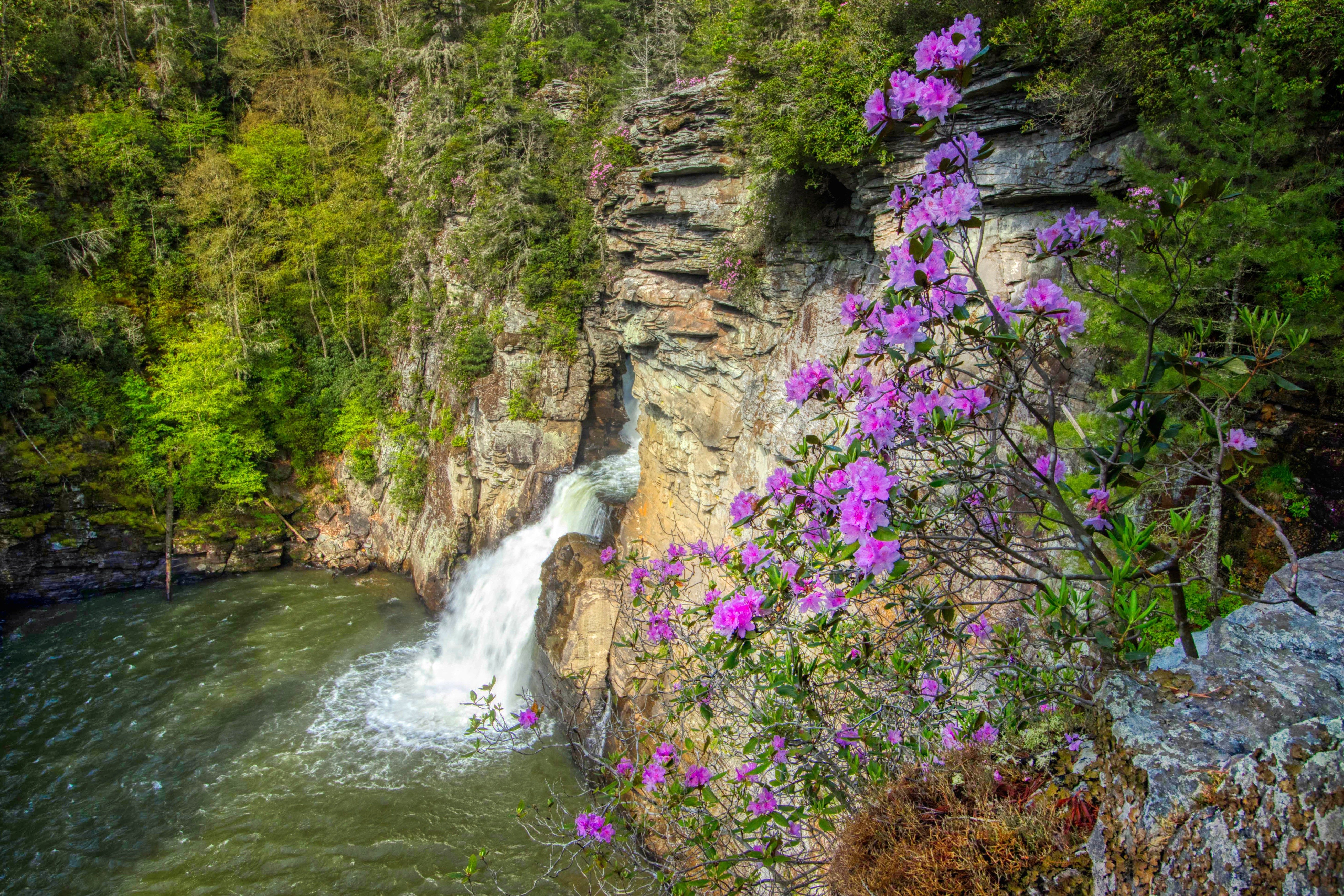 spring waterfall