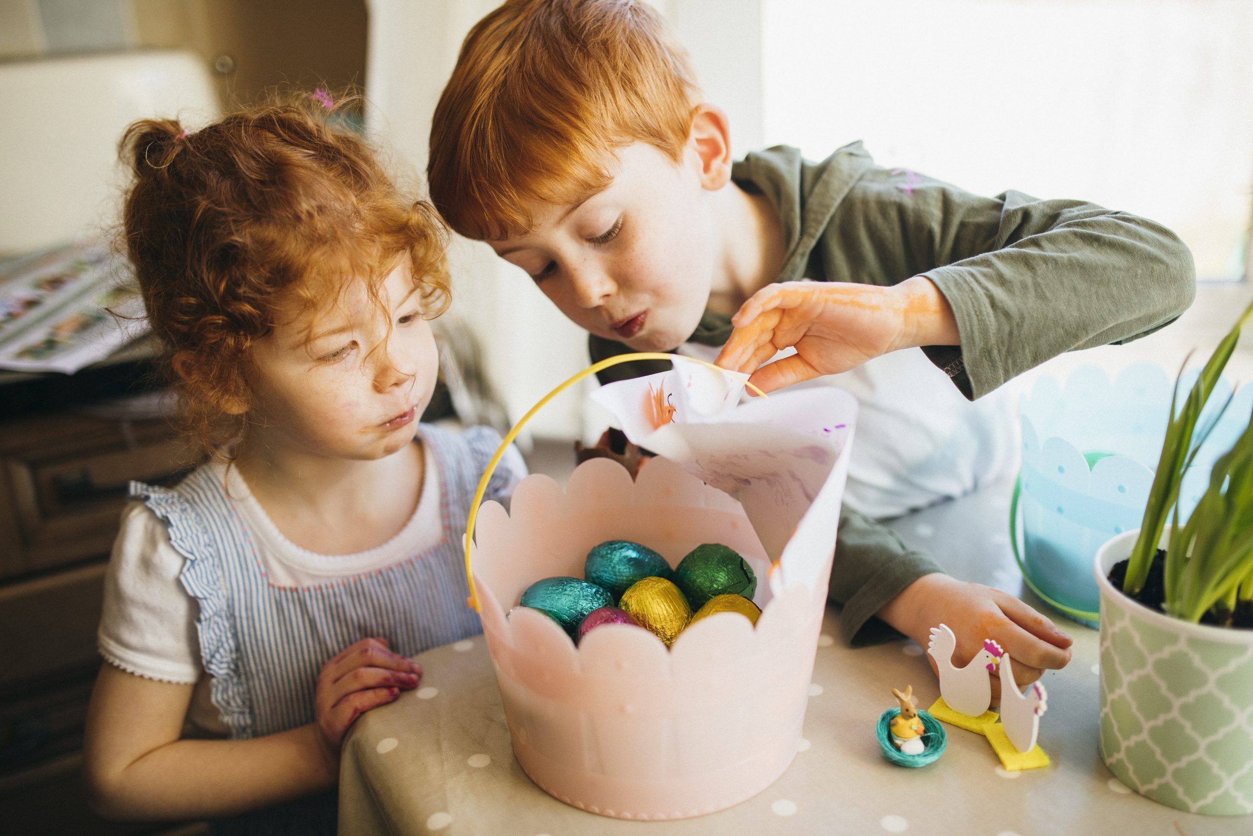 easter slovakia tradition spring, Young siblings stealing chocolate easter eggs out of a pink bucket after an easter egg hunt