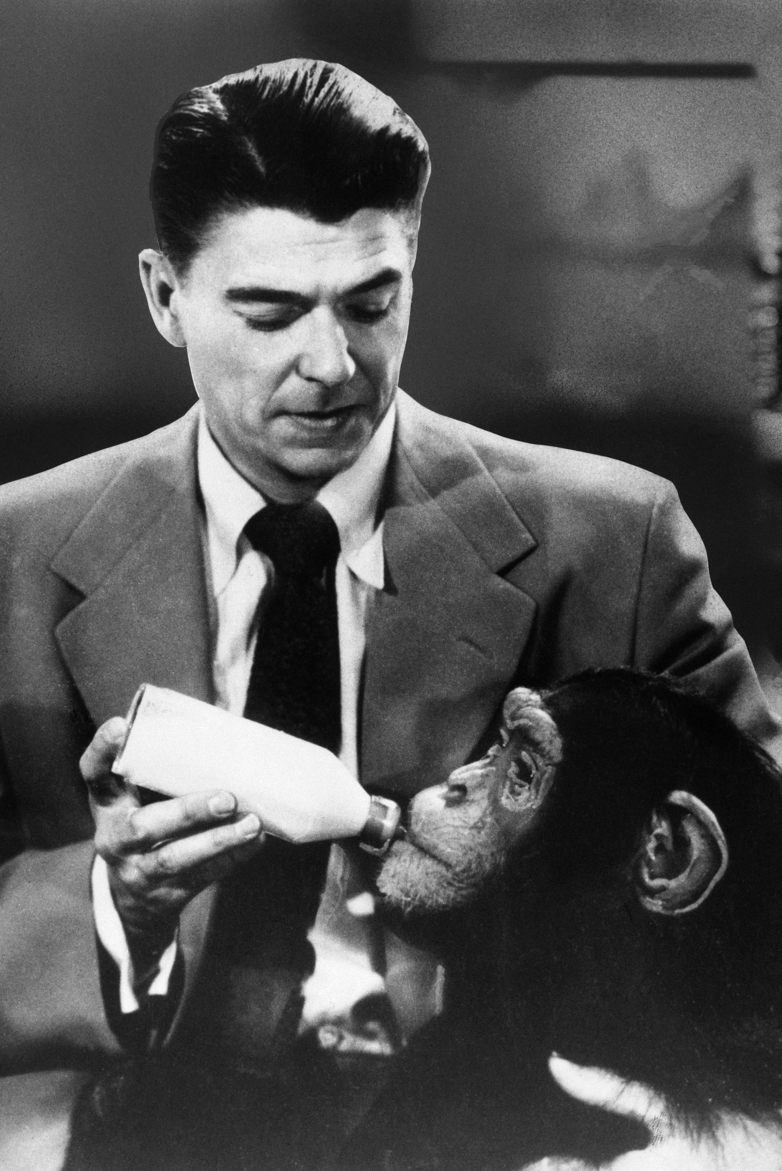 ronald reagan and chimp