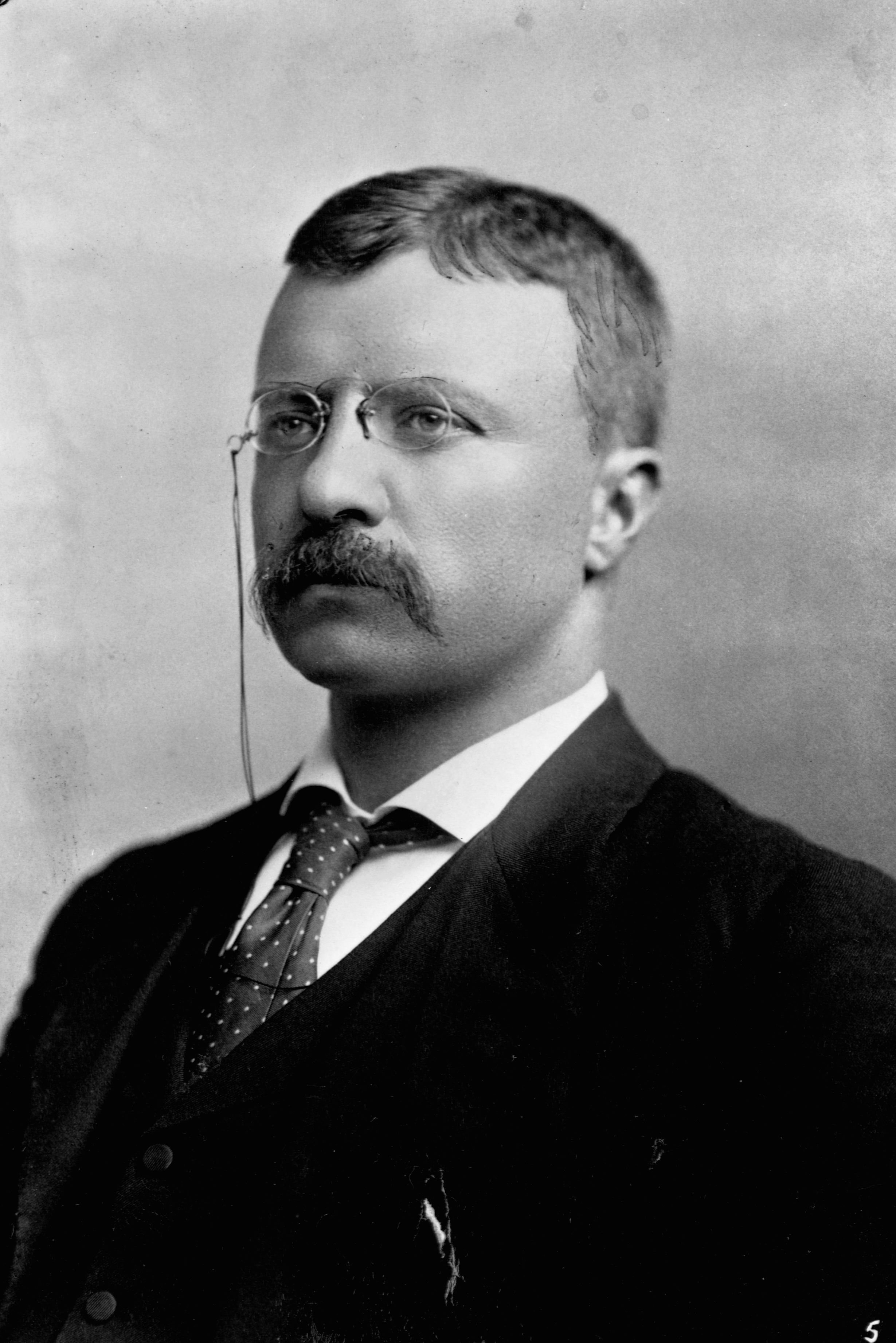 theodore teddy roosevelt