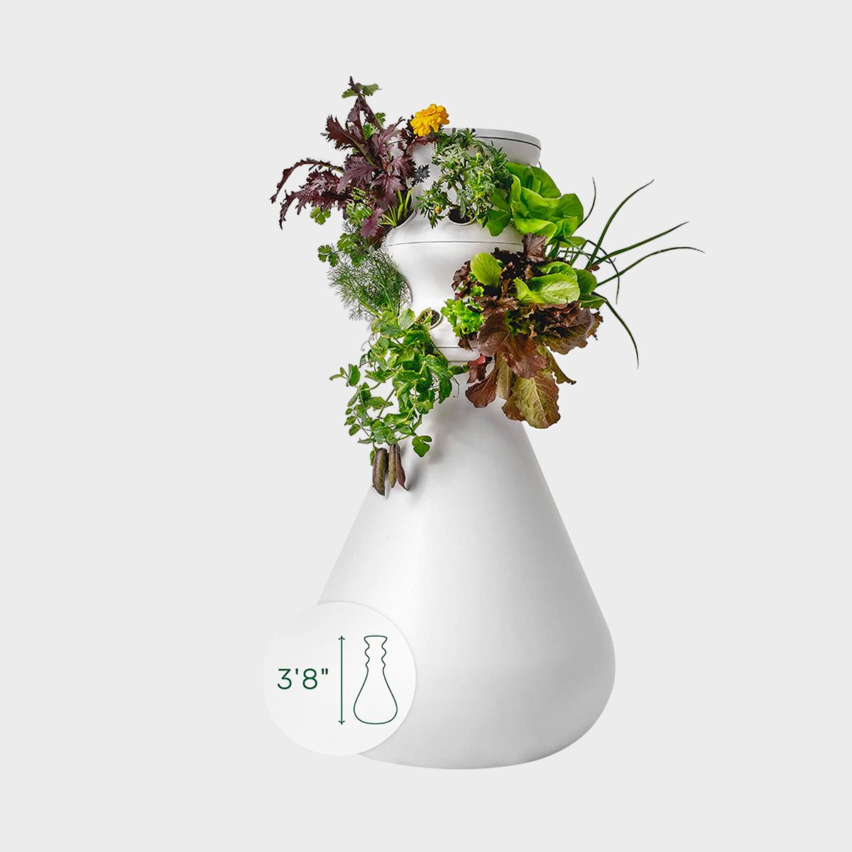 Lettuce Grow Farmstand Ecomm Amazon.com