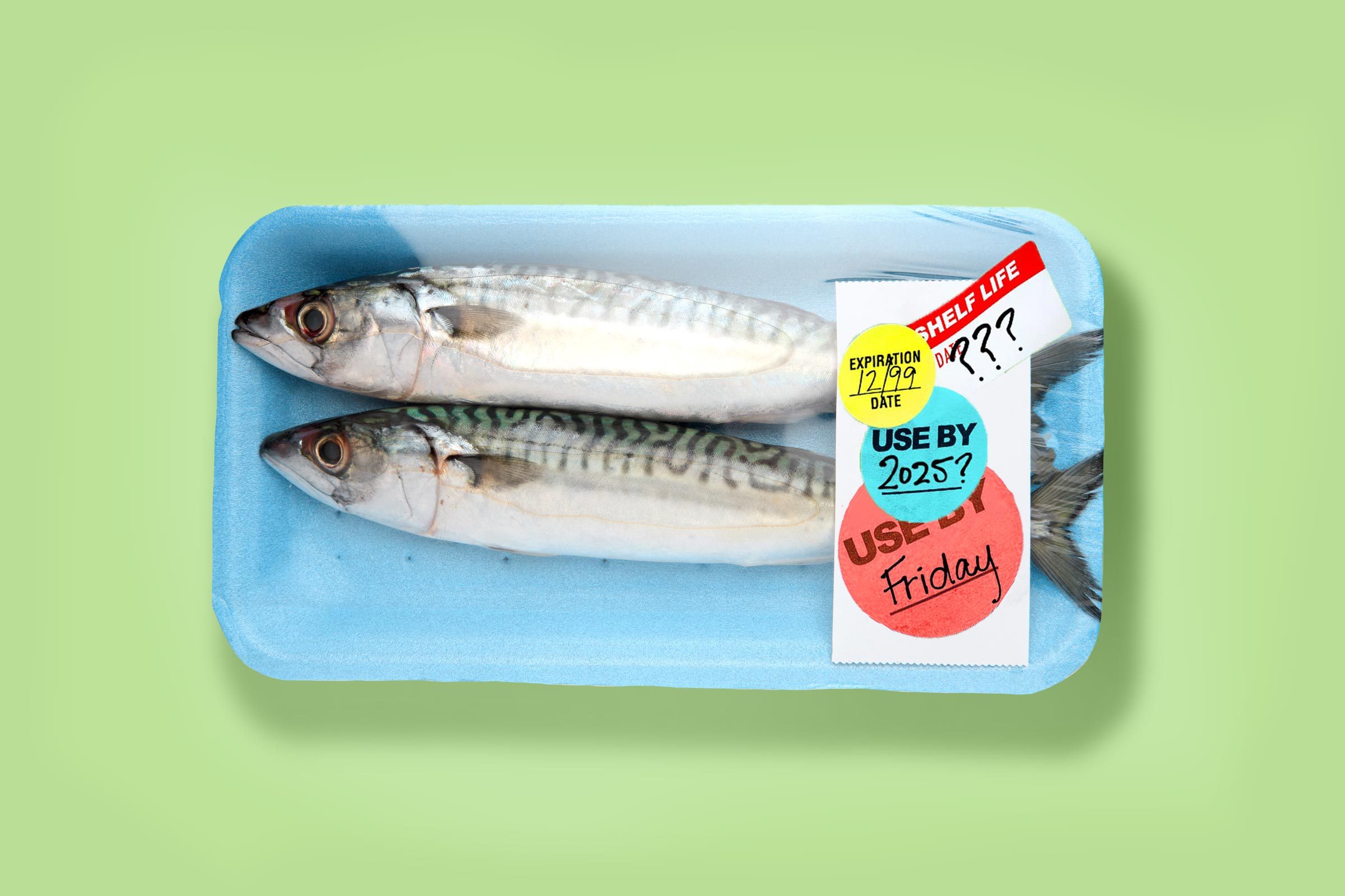 Packaged fish with expiration date stickers on a green background