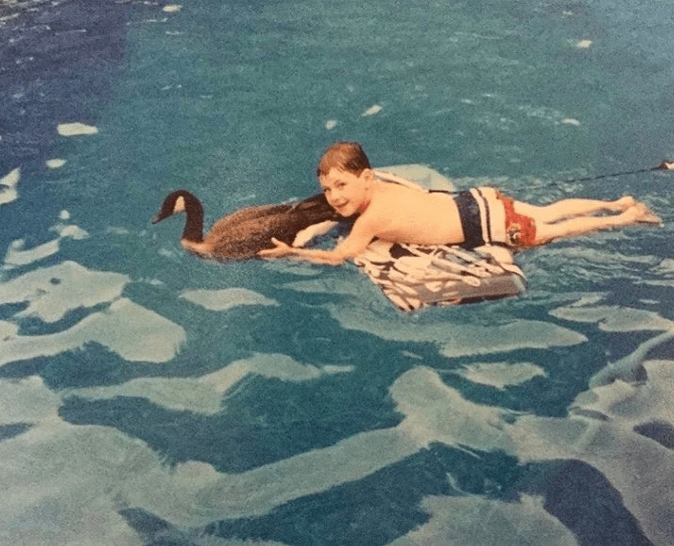 family raised goose peeper returned after 20 years