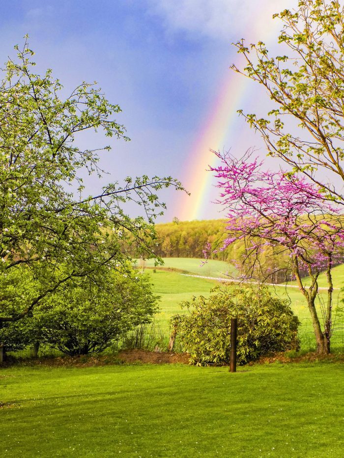 After a big rain storm we saw this rainbow