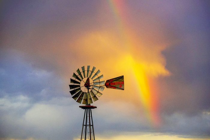 spring rainbow windmill