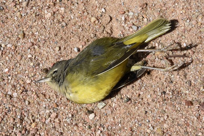 Southwest USA scenics