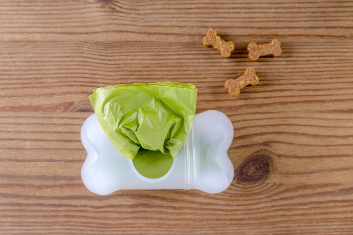 poop bags with dog treats on wooden background