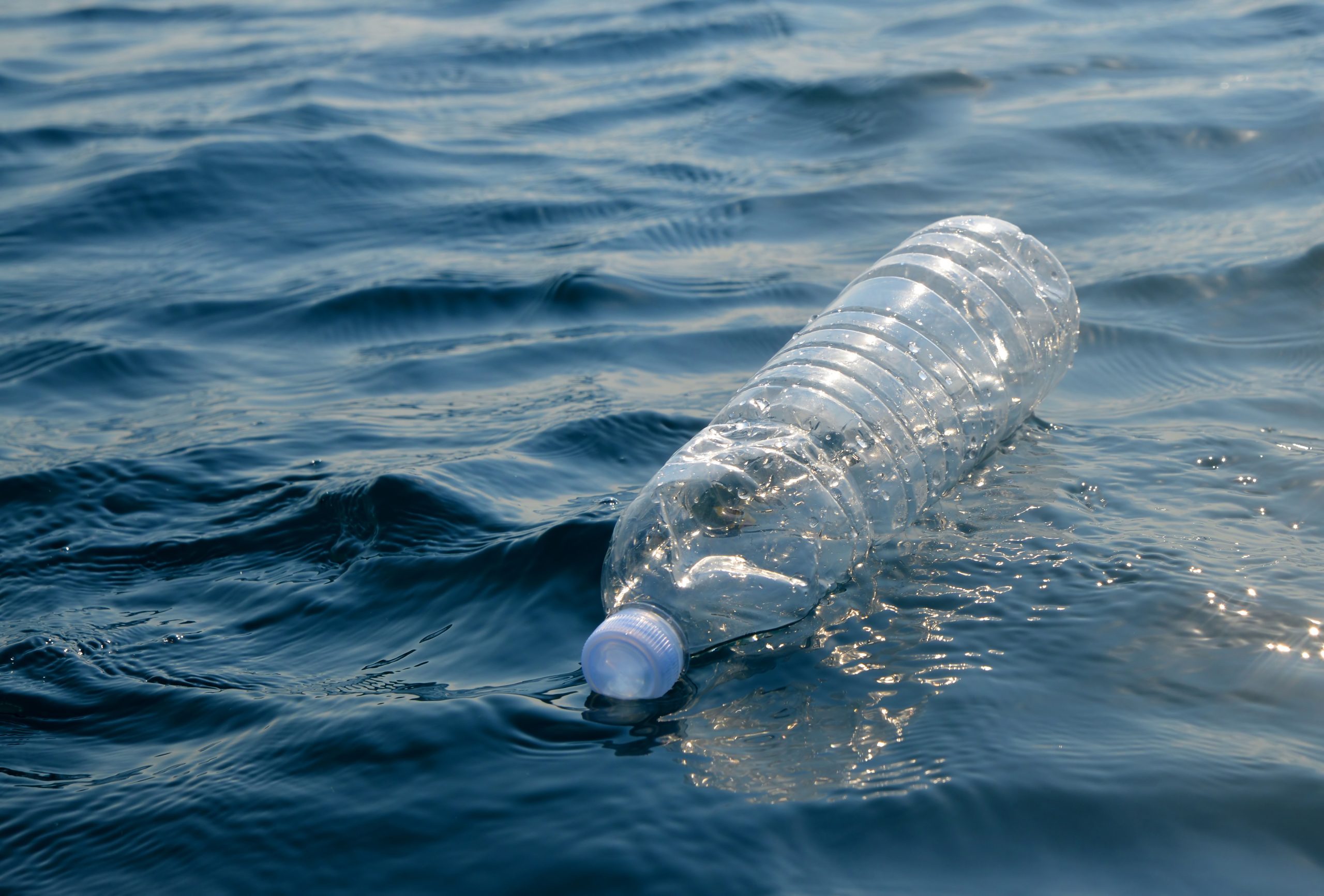 Here’s How Long it Takes for Plastic Bottles to Break Down in the Ocean