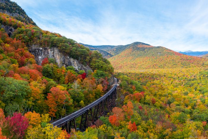 Aerial drone photo of during autumn day of the beautiful red, orange and yellow leaf foliage.