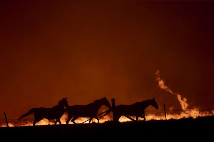 State Of Emergency Declared In ACT As Canberra Braces For Increased Bushfire Threat