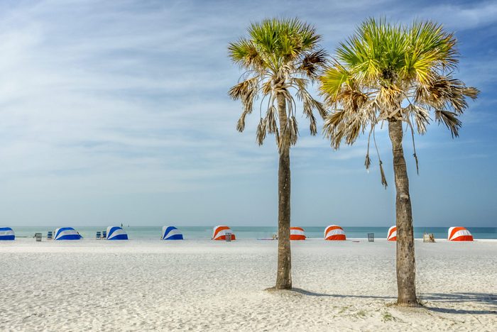 Palms of Clearwater