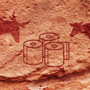 toilet paper cave painting