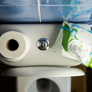 Wet wipes and traditional toilet paper