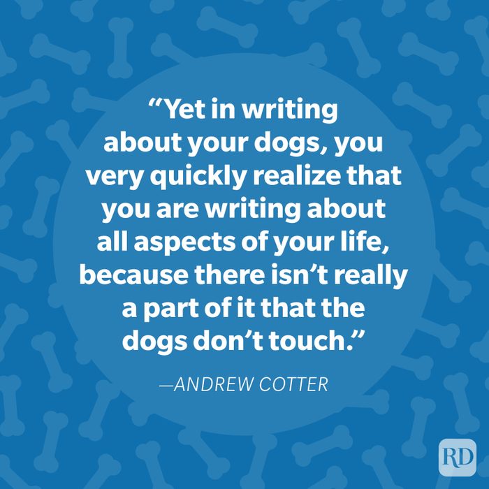 Andrew Cotter Dog Quote