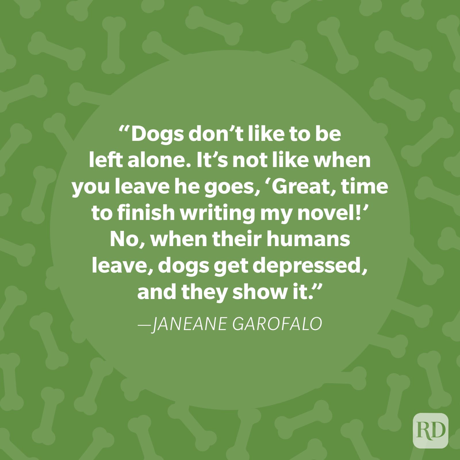 Janeane Garofalo Dog Quote