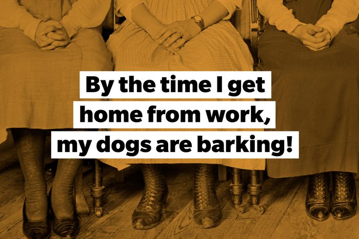 slang my dogs are barking