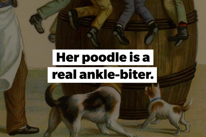 slang words Ankle-biter