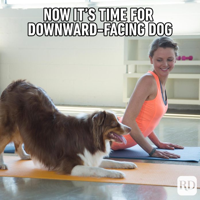Woman doing yoga with her dog. Meme text: Now it’s time for downward-facing dog
