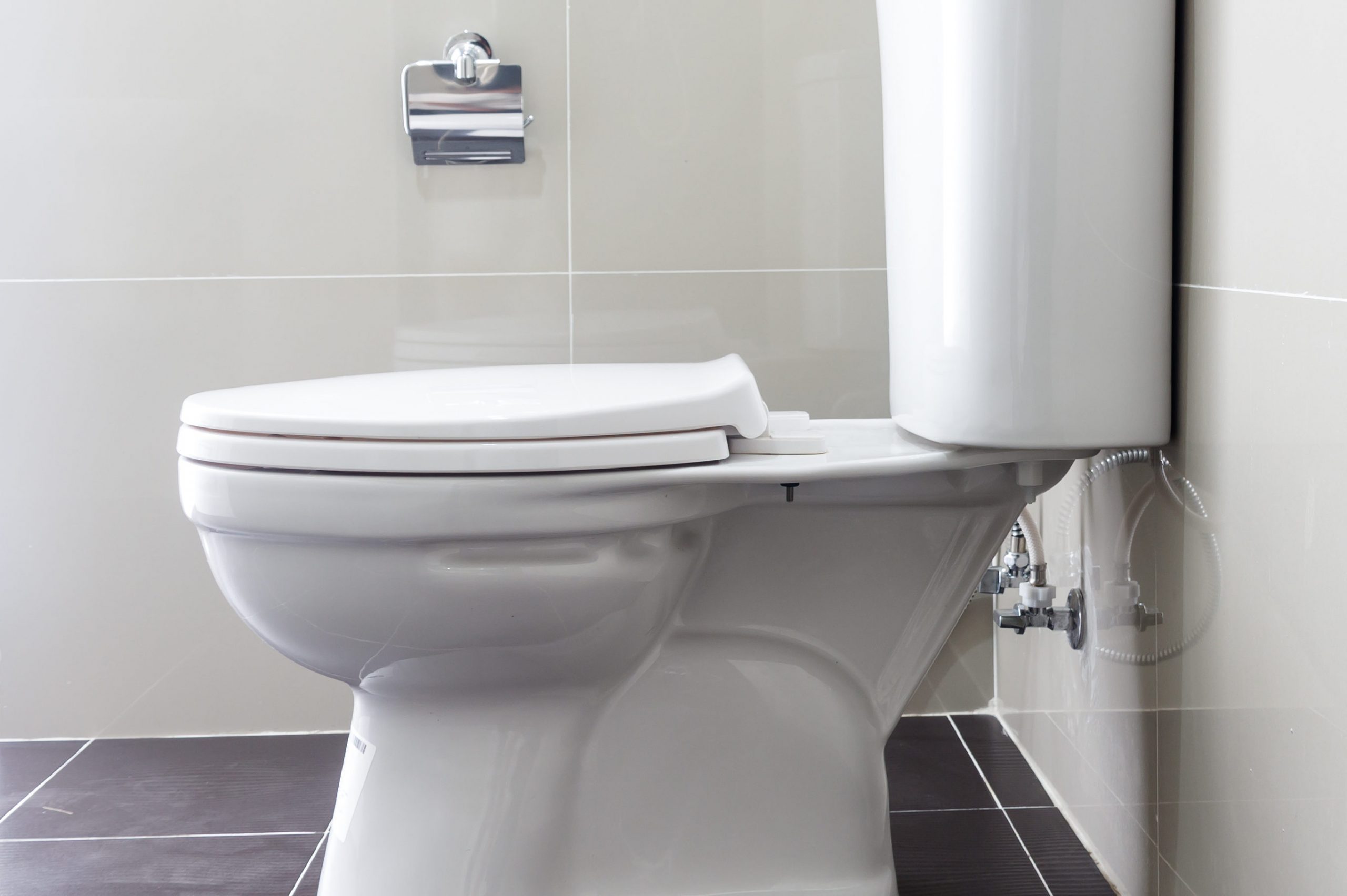 Toilet Bowl In Bathroom