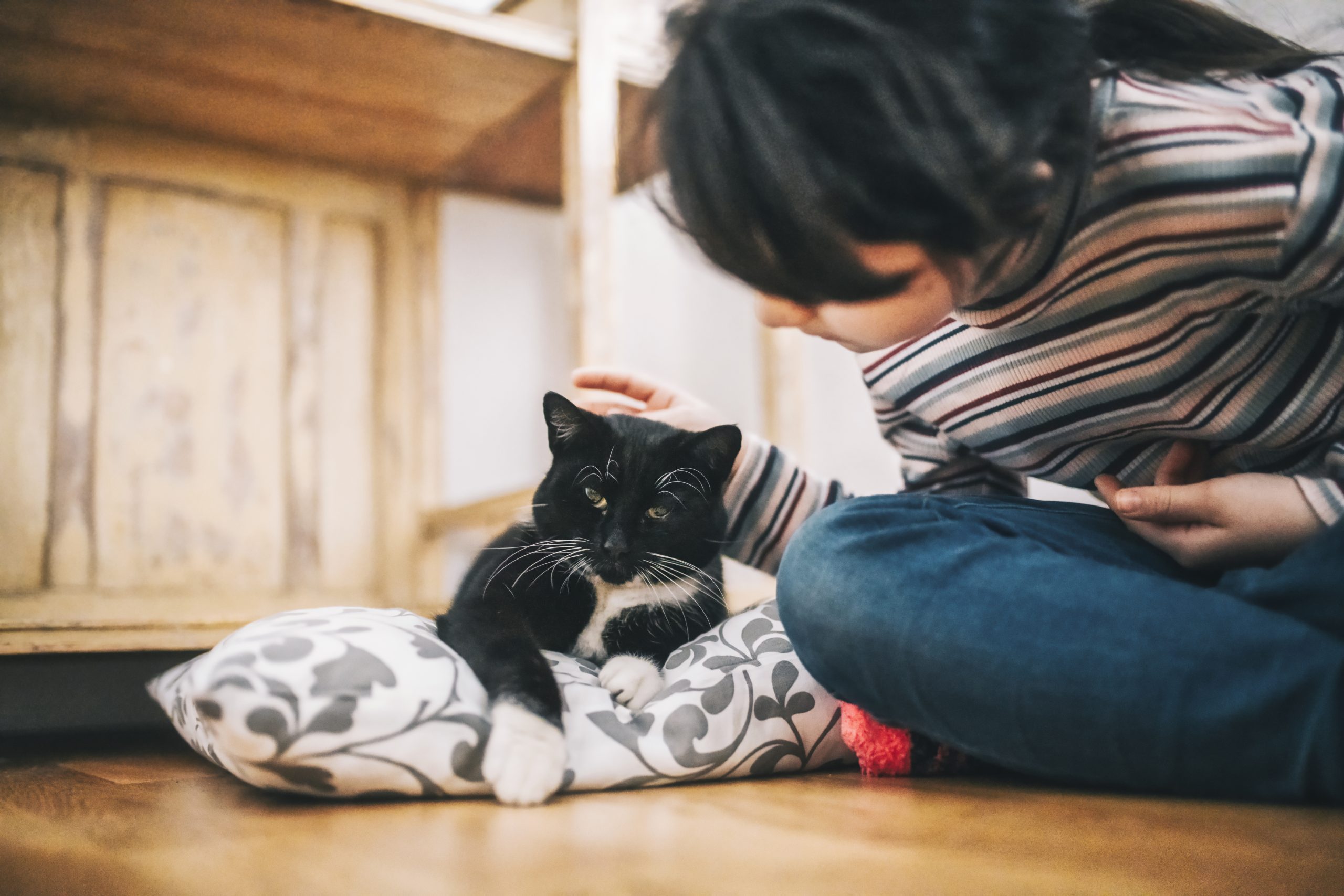 little girl stroking black cat