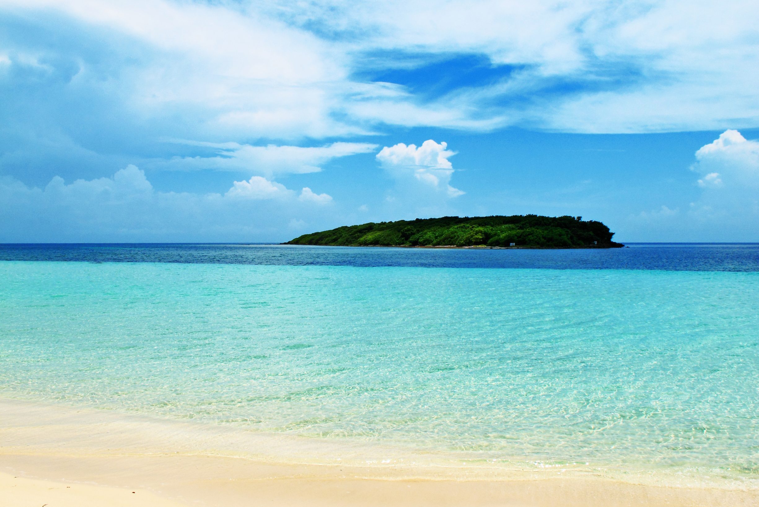 Blue Beach Vieques Puerto Rico
