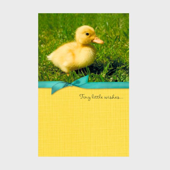 Chick Easter Card
