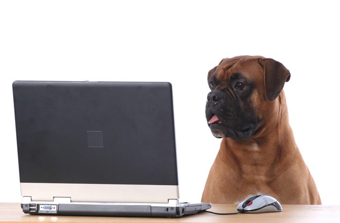 Max at his workplace