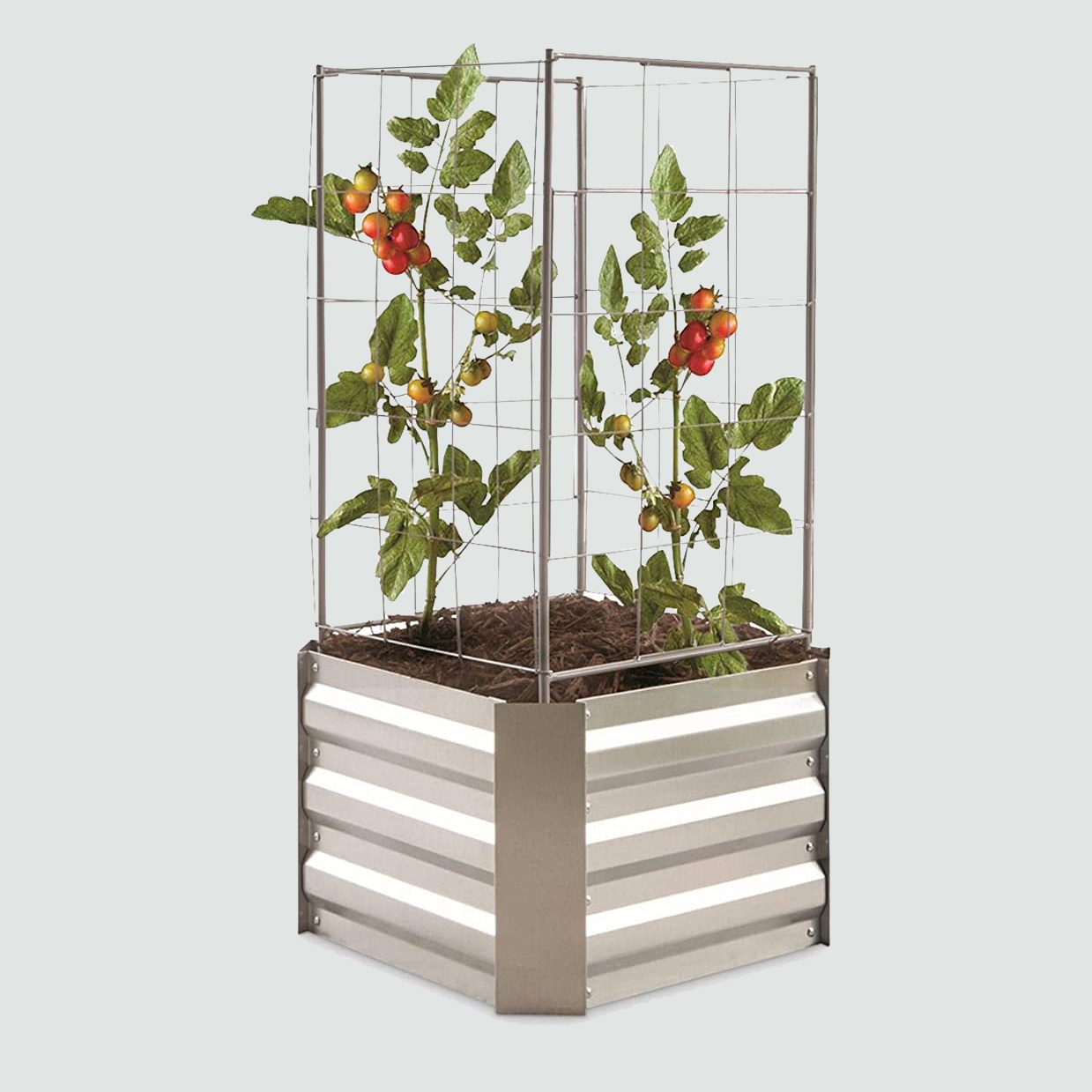 Castlecreek Planter Box with Trellis