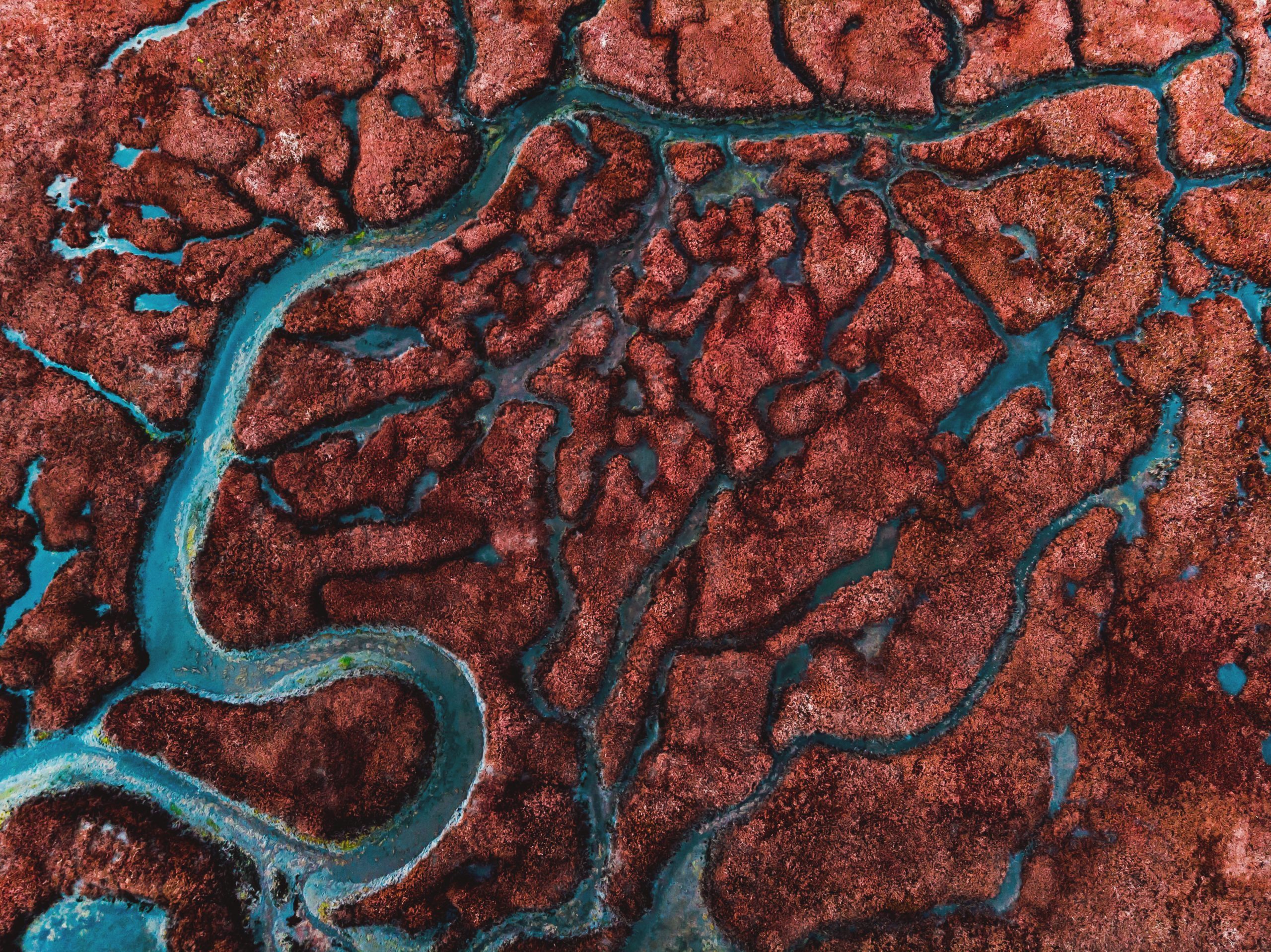 Beautiful pattern created by river delta taken from above.