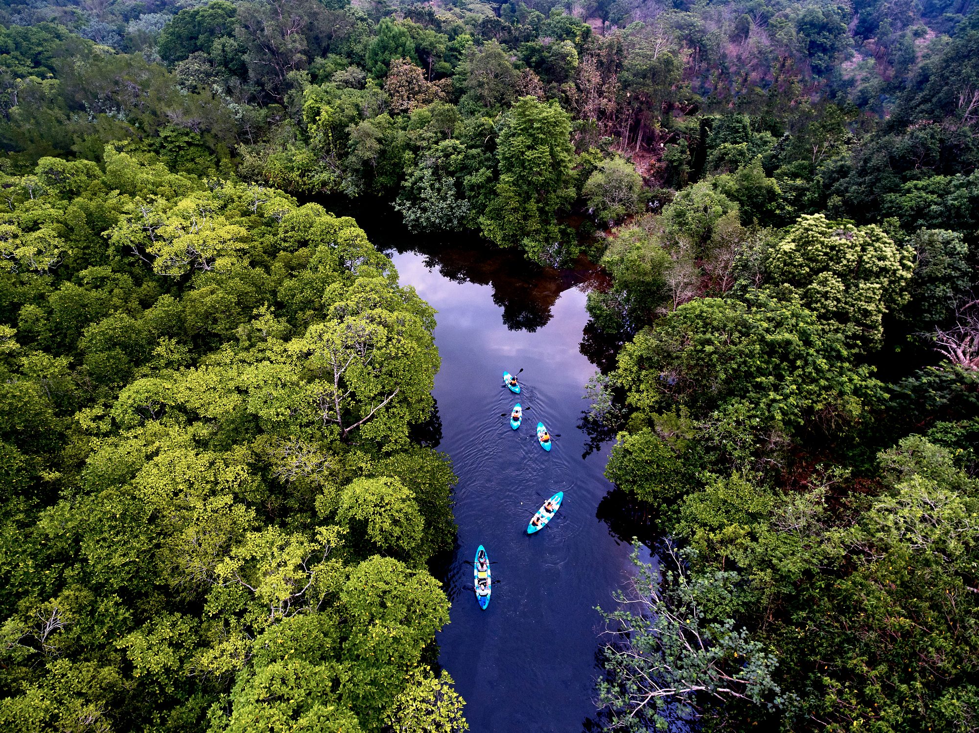 River swamp on Kho Rong island, Cambodia