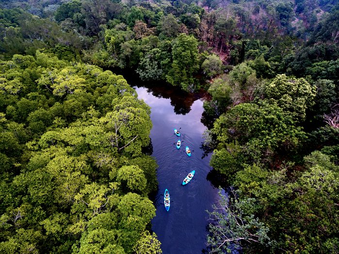 River swamp on Kho Rong island, Cambodia