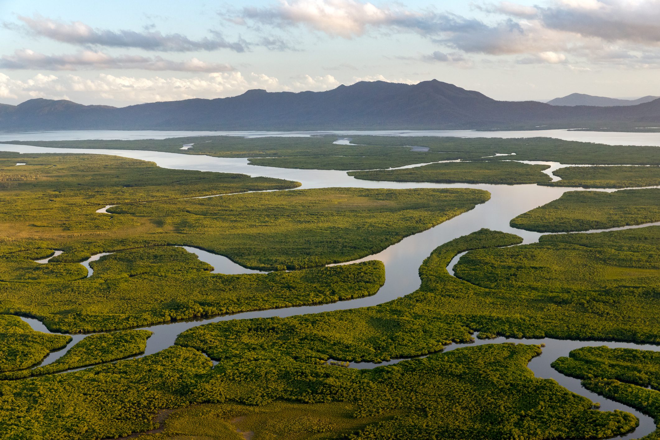 Hinchinbrook Island Aerial