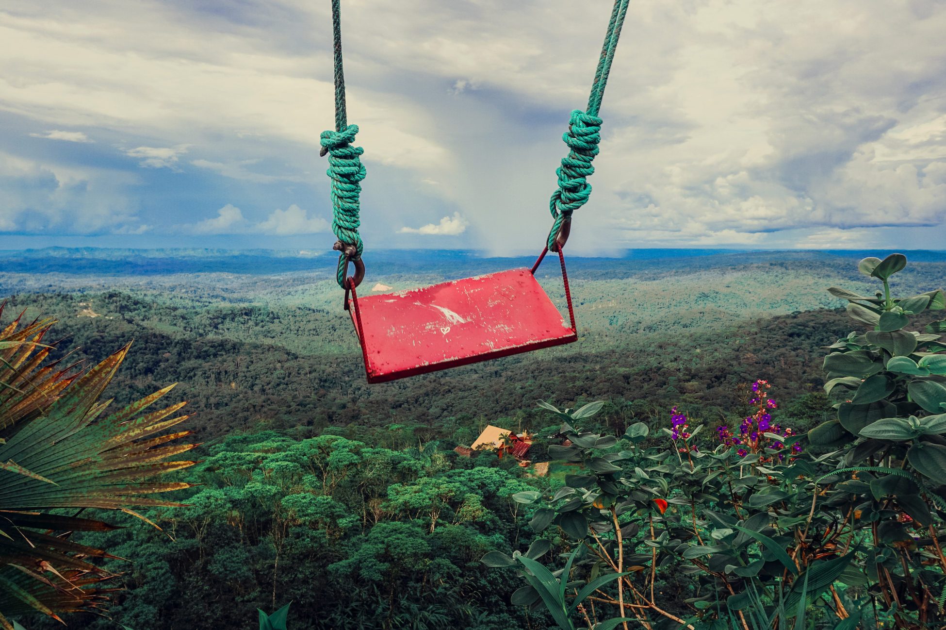 Amazon Rainforest Jungle Trees Sunset