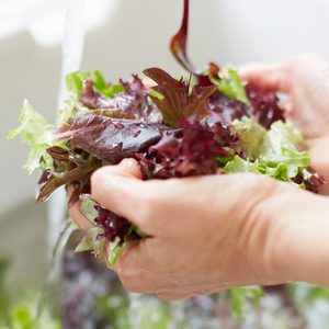 Woman washing vegetable in kitchen sink