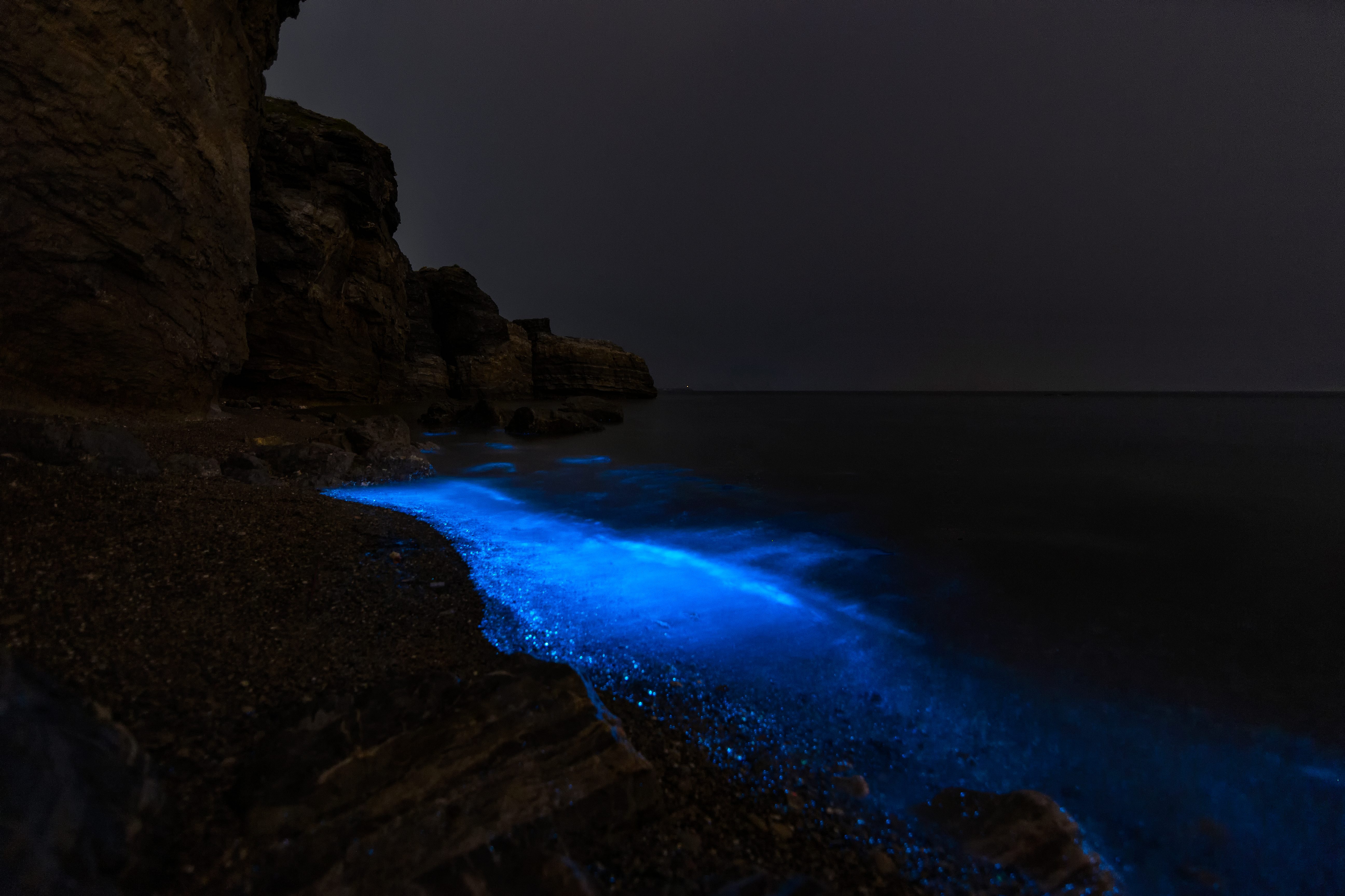 Fluorescent beach In Yellow Sea