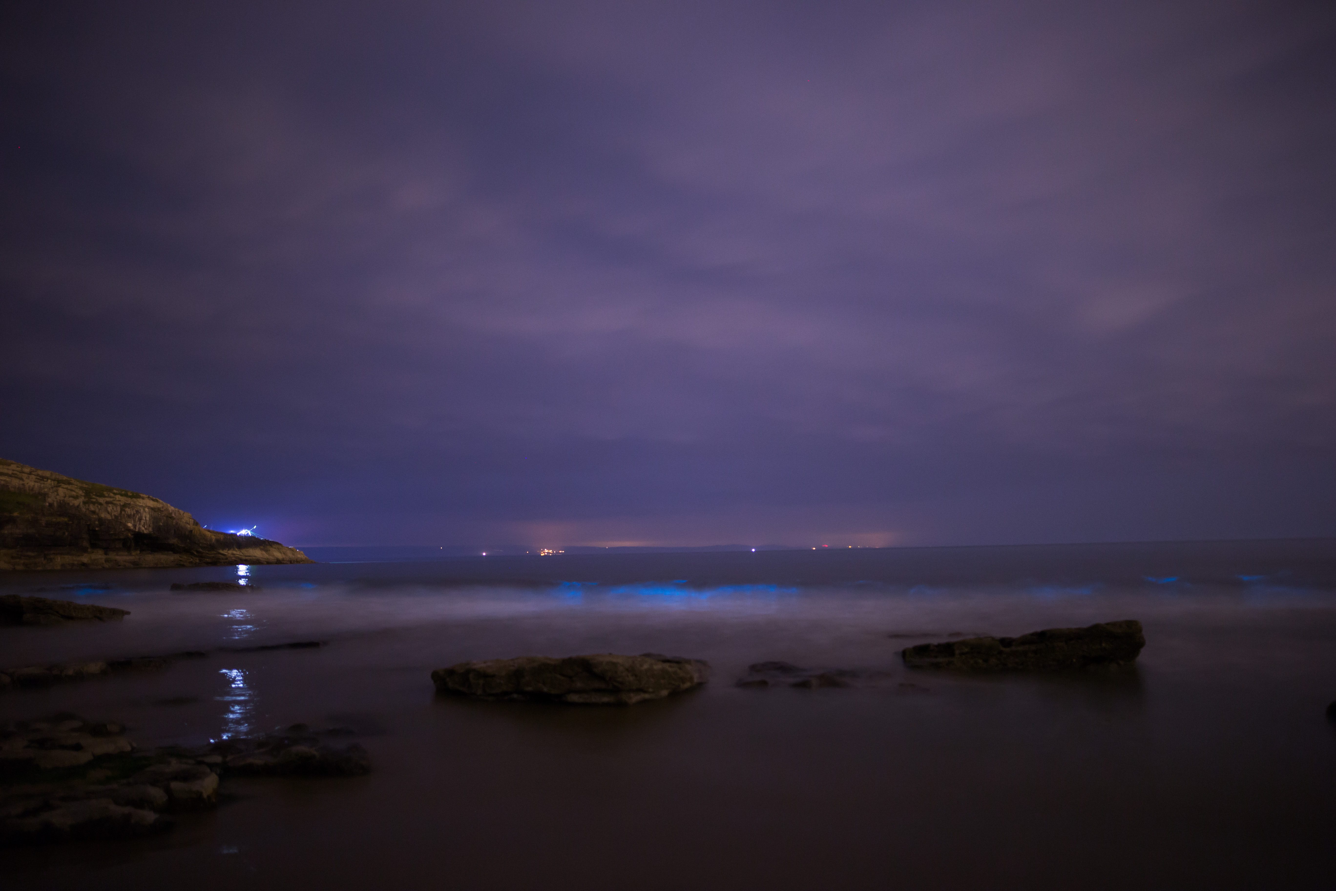 Bioluminescent Plankton South Wales 2019