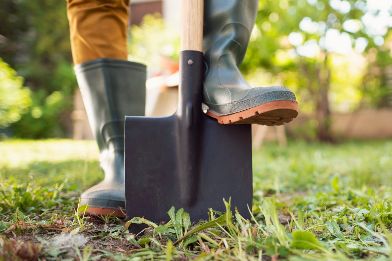 Ready for gardening