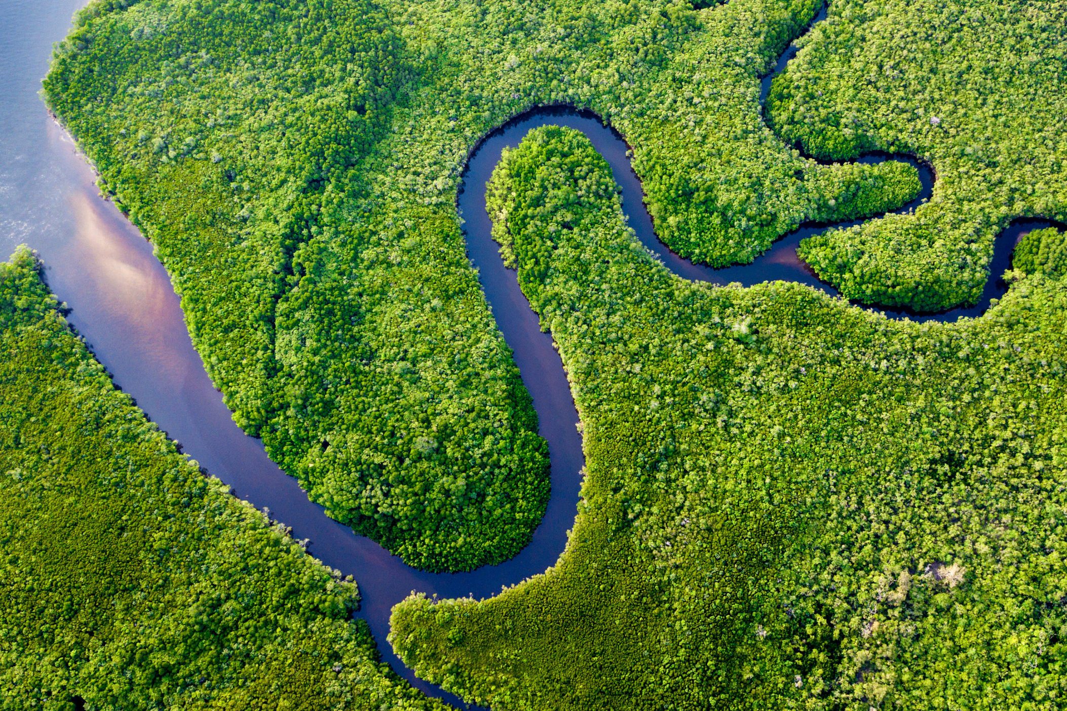 Daintree River Bends