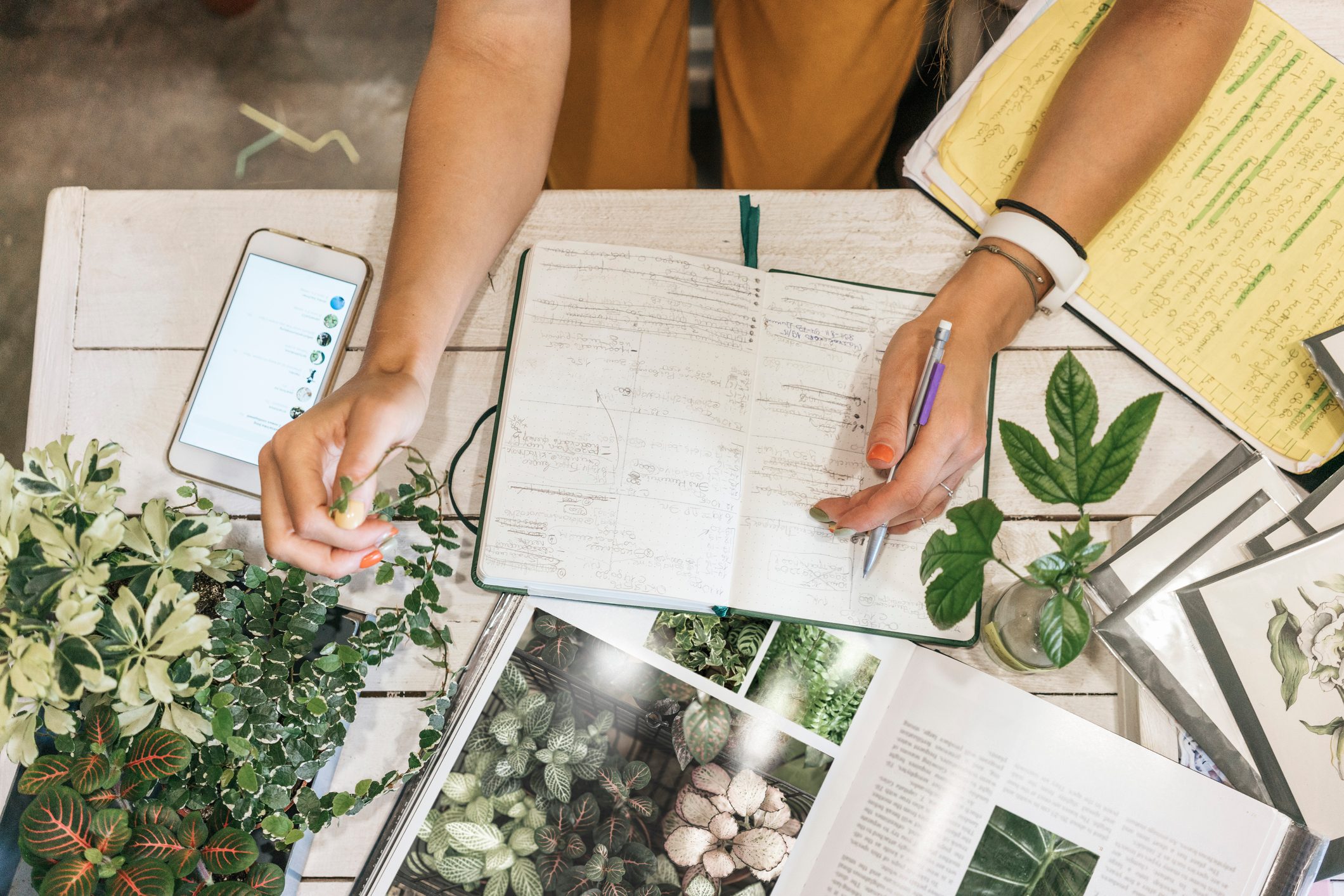 Top view of woman taking notes in a small gardening shop