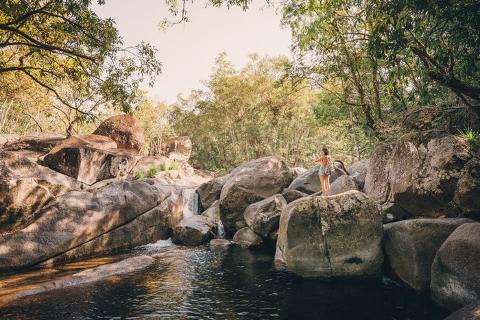 mossman gorge traveller
