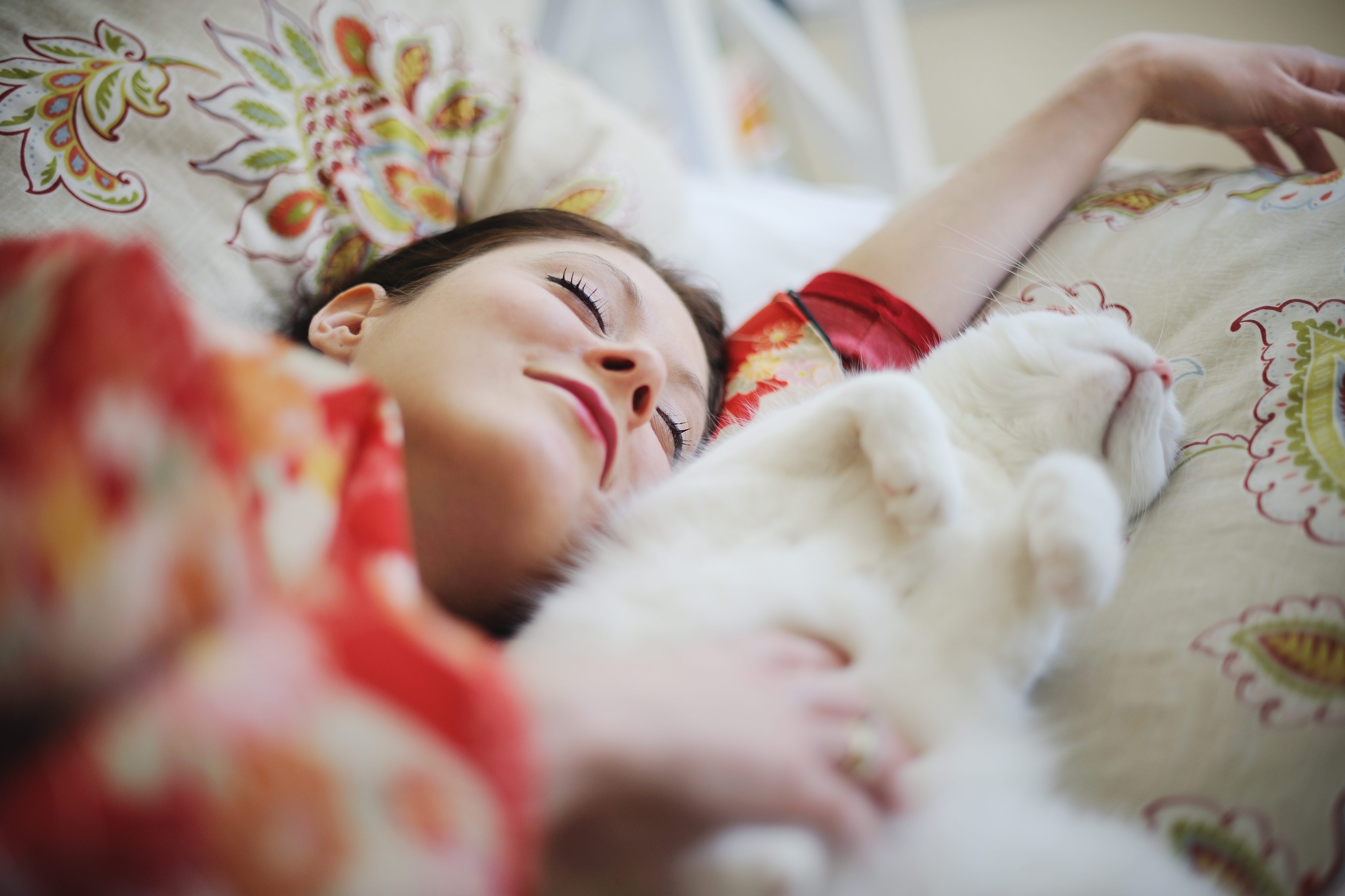 Sleeping woman in kimono with cat