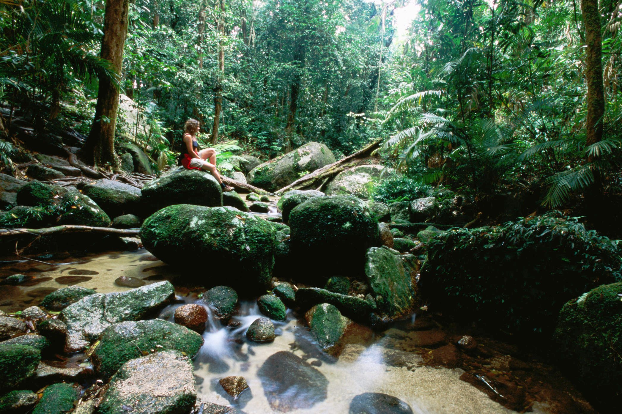 Hiker relaxing at Mossman Gorge, Daintree National Park.