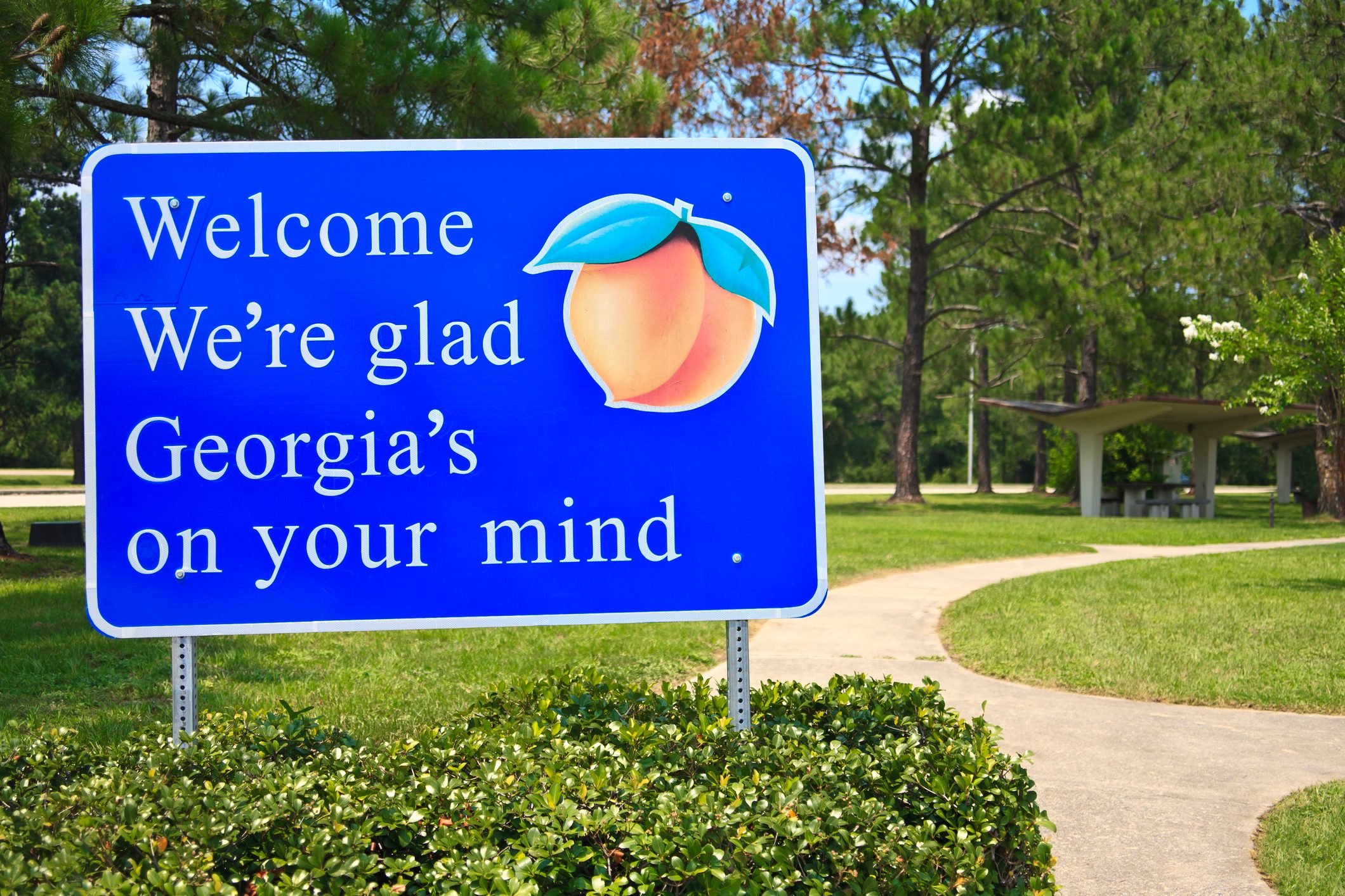 Georgia State Welcome Sign