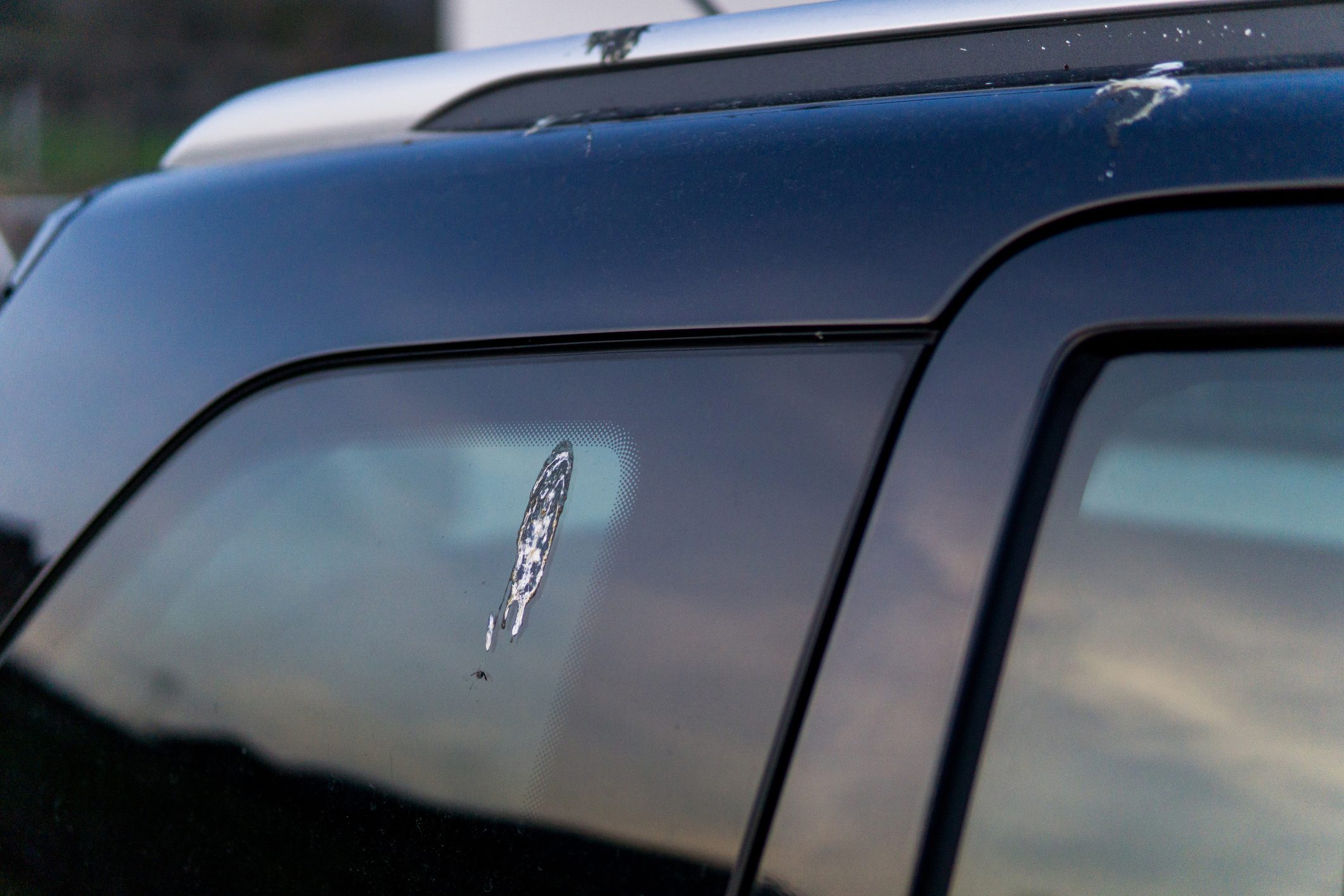Dirty car