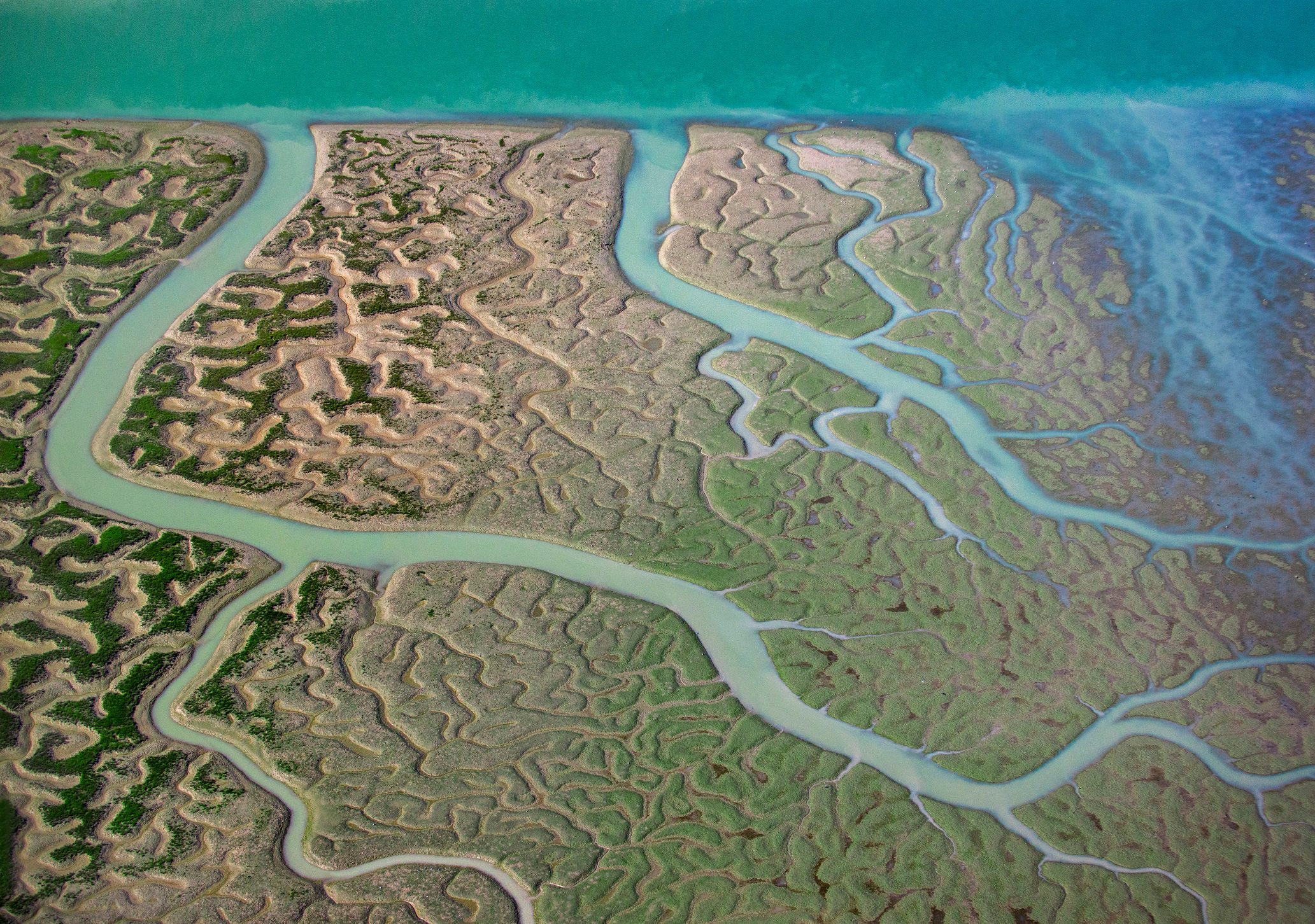 Marismas del Guadalquivir, Andalusia