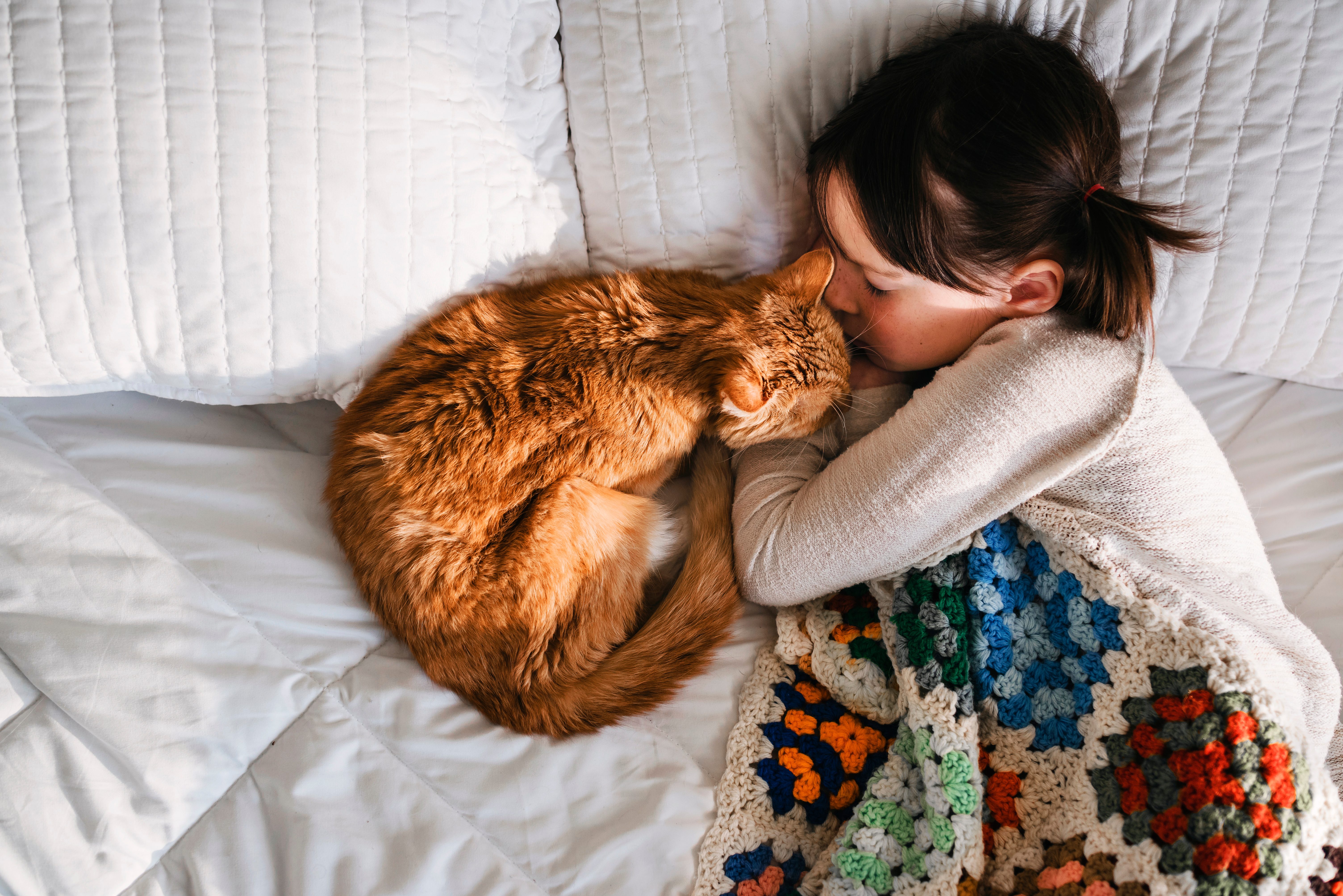 Girl having a nap on a bed with her cat