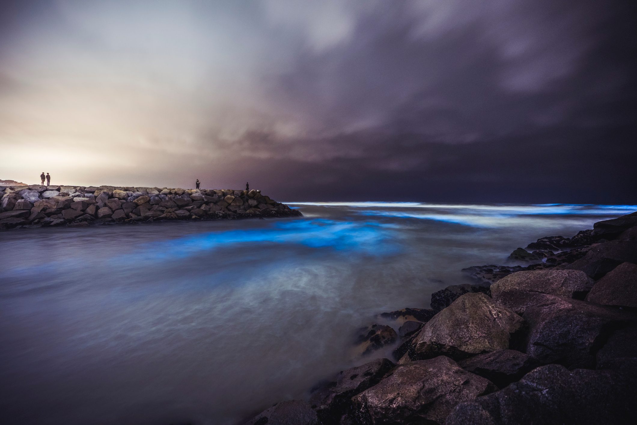 San Diego Red Tide