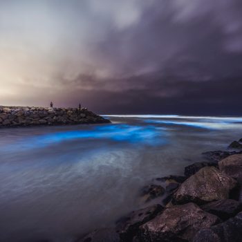 San Diego Red Tide