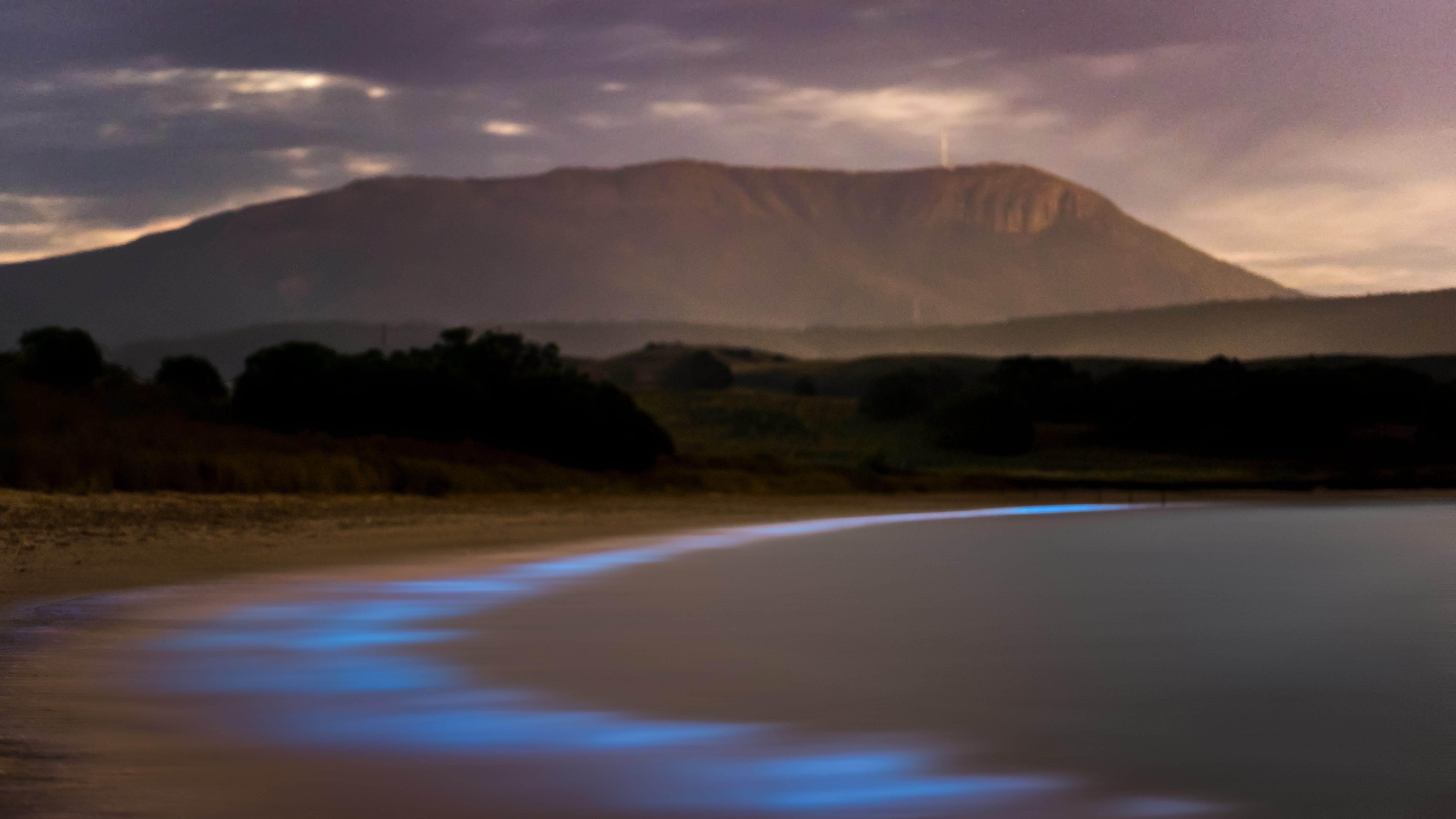 Bioluminescence - Hobart, Tasmania