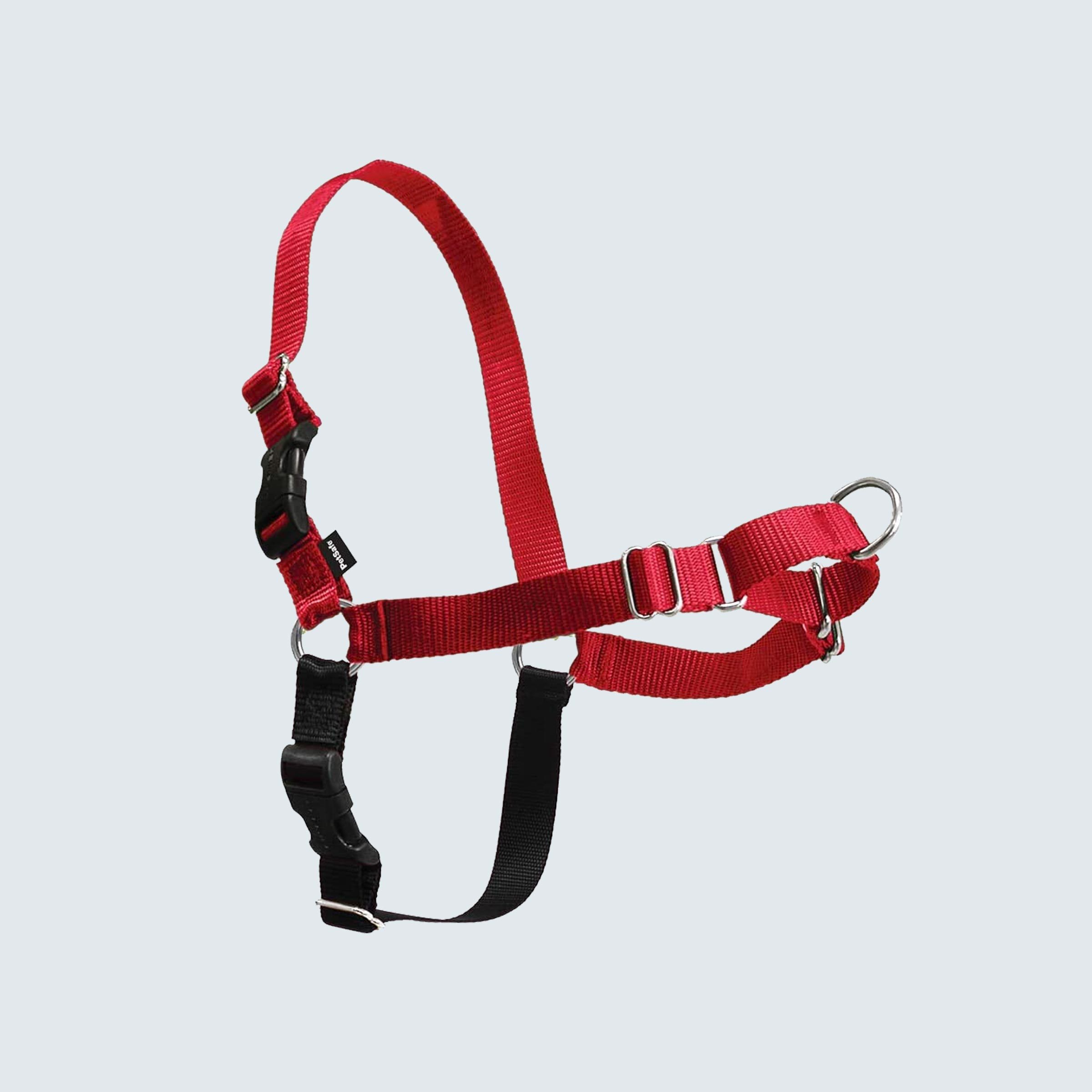 PetSafe Easy Walk Harness